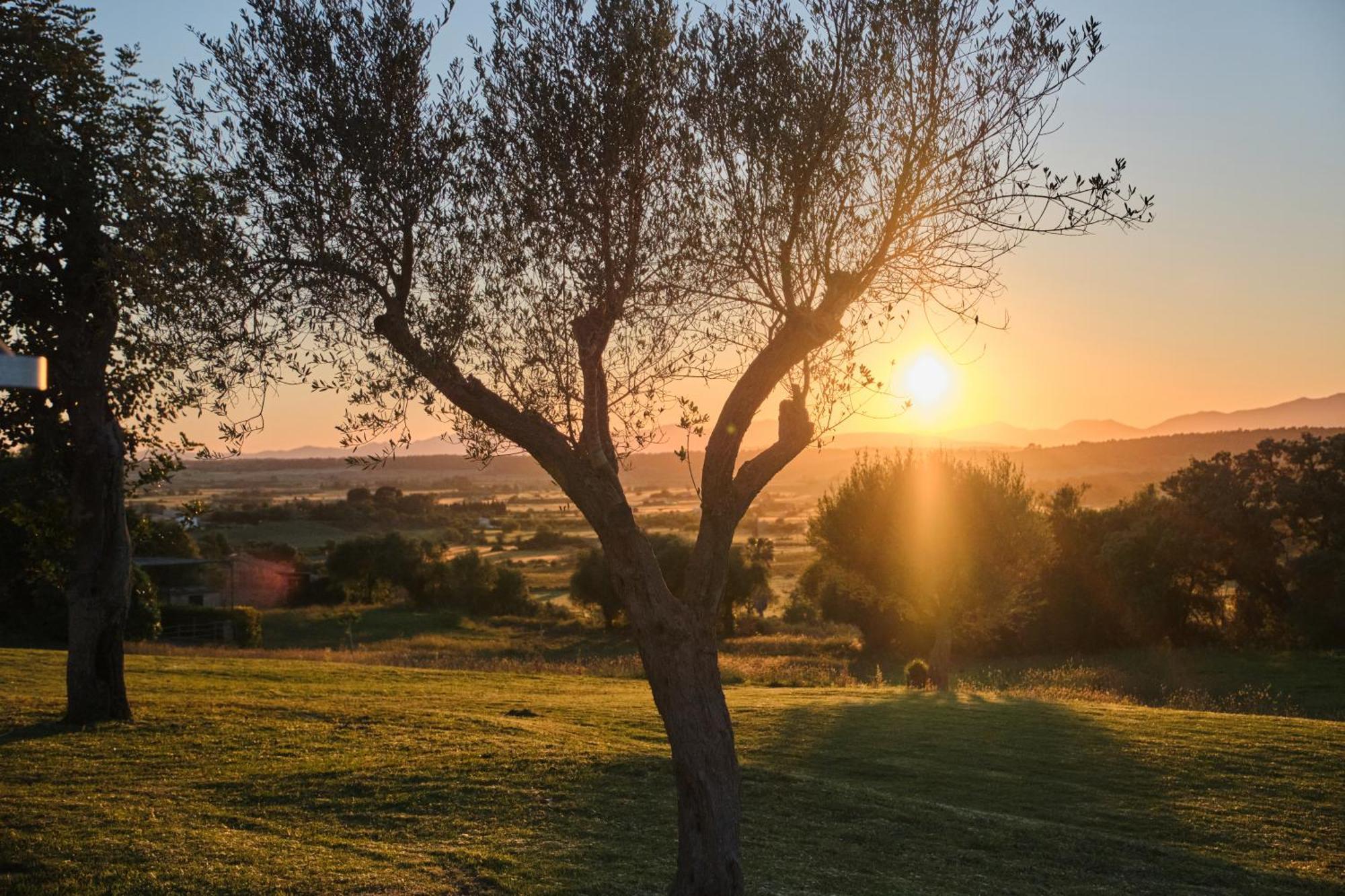 Es Figueral Nou Rural & - Adults Only - Over 12 Hotell